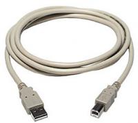 10' USB 2.0 Cable A Male to B Male - Click Image to Close